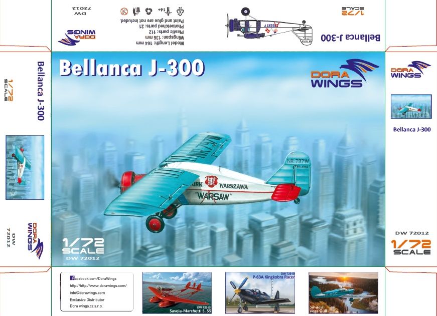Bellanca J-300